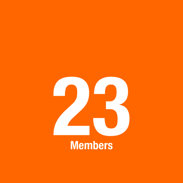 23 members of the board of directors
