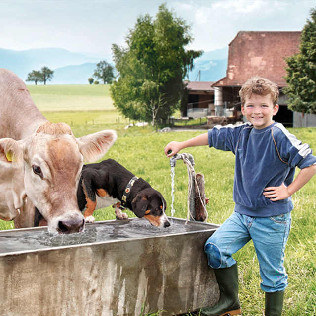 Kleiner Junge, der an einem Brunnen steht, aus dem eine Kuh und ein Hund trinken