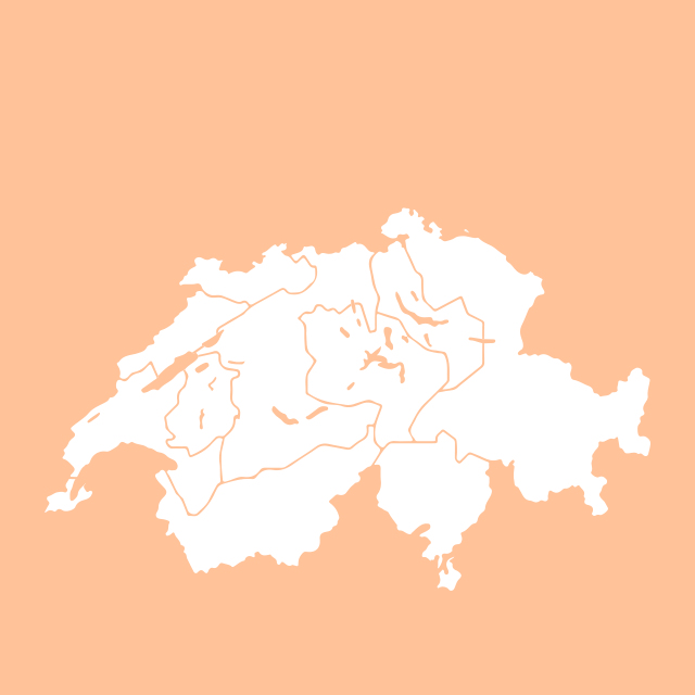 Rappresentazione schematica di una cartina della Svizzera
